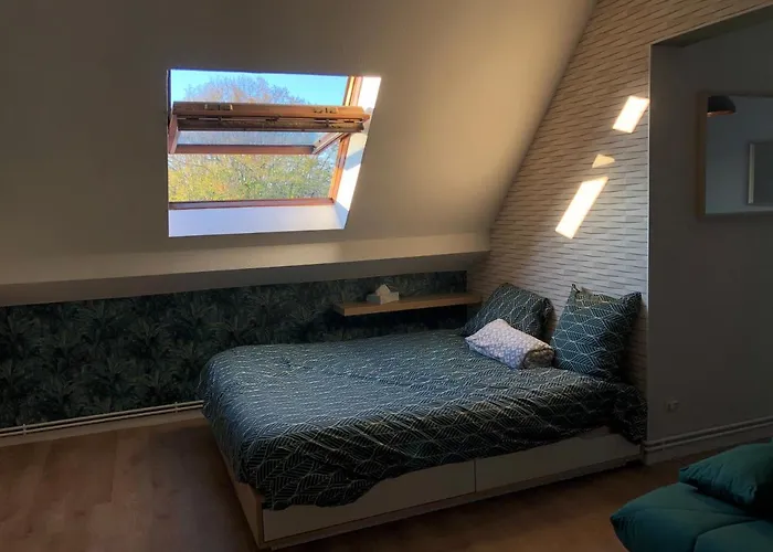 Amazone - Au ! 梅斯